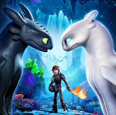 How To Train Your Dragon