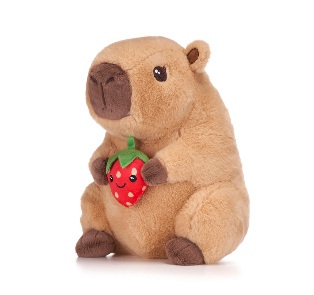 Capybara Holding Fruits 10" Soft Toy (3pc)