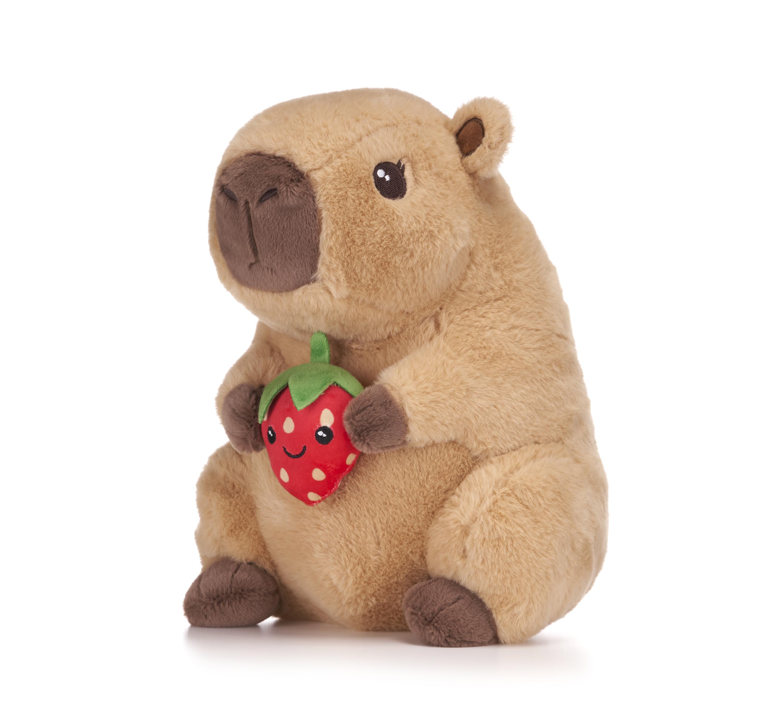Capybara Holding Fruits 10" Soft Toy (3pc)