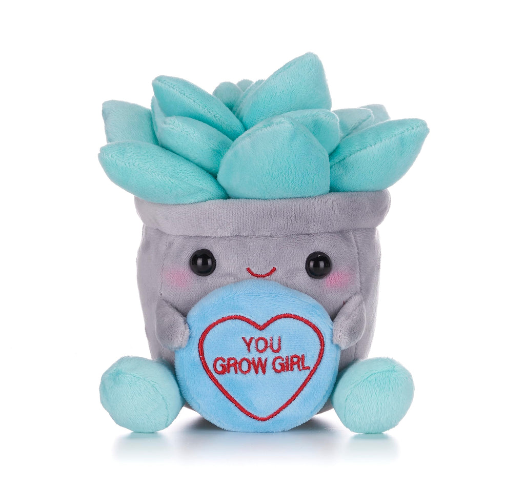Swizzels Love Hearts 7" Succulent Flowerpot Soft Toy