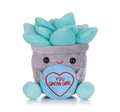 Swizzels Love Hearts 7" Succulent Flowerpot Soft Toy