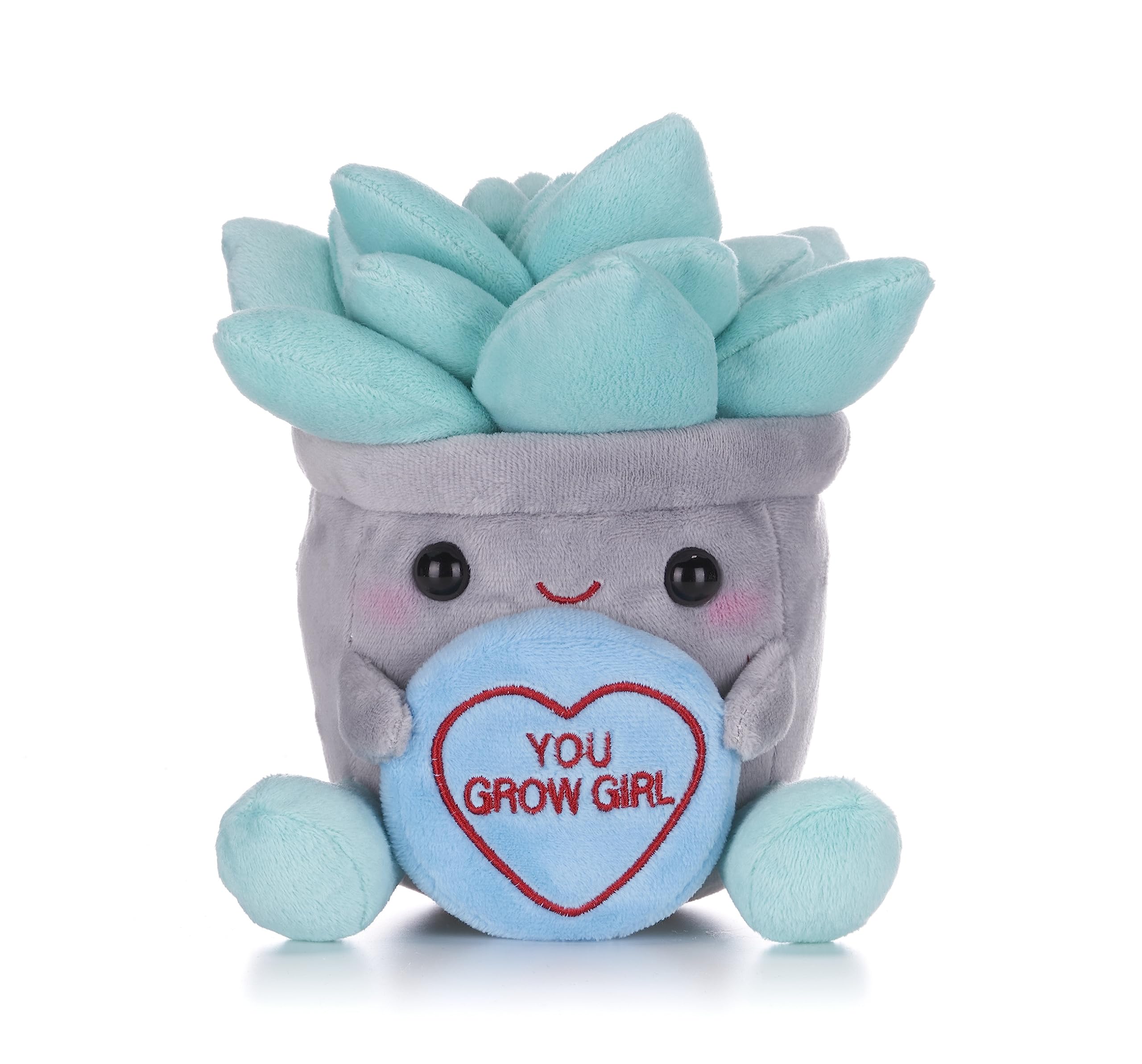Swizzels Love Hearts 7" Succulent Flowerpot Soft Toy