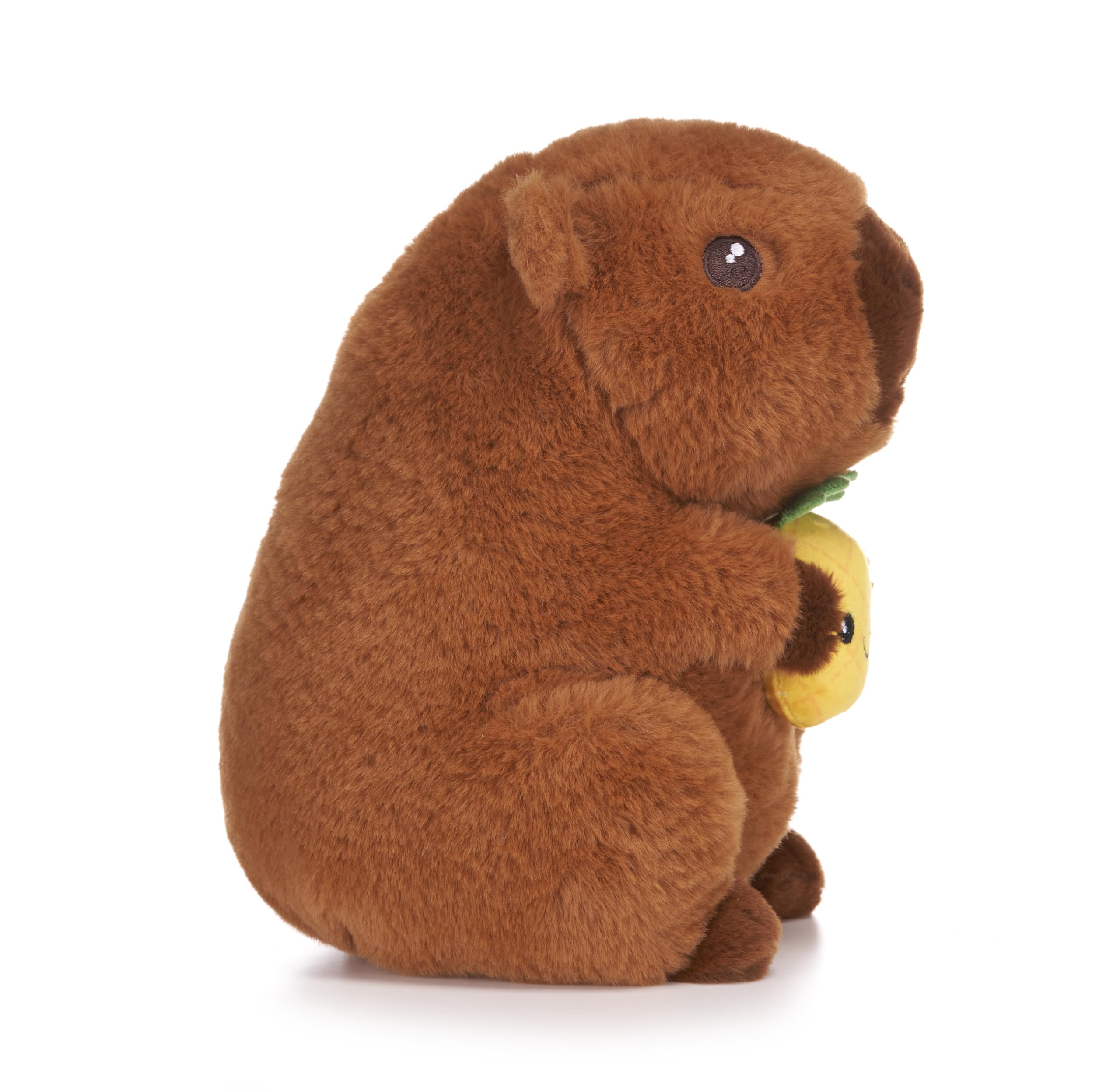 Capybara Holding Fruits 10" Soft Toy (3pc)