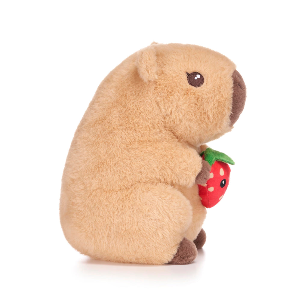 Capybara Holding Fruits 10" Soft Toy (3pc)