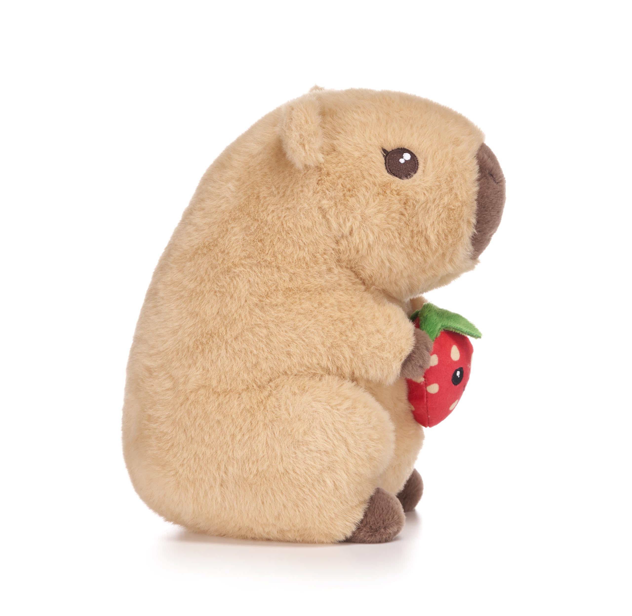 Capybara Holding Fruits 10" Soft Toy (3pc)