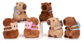 8.5" Capybara with Onikuma Rucksack asst (6pcs)