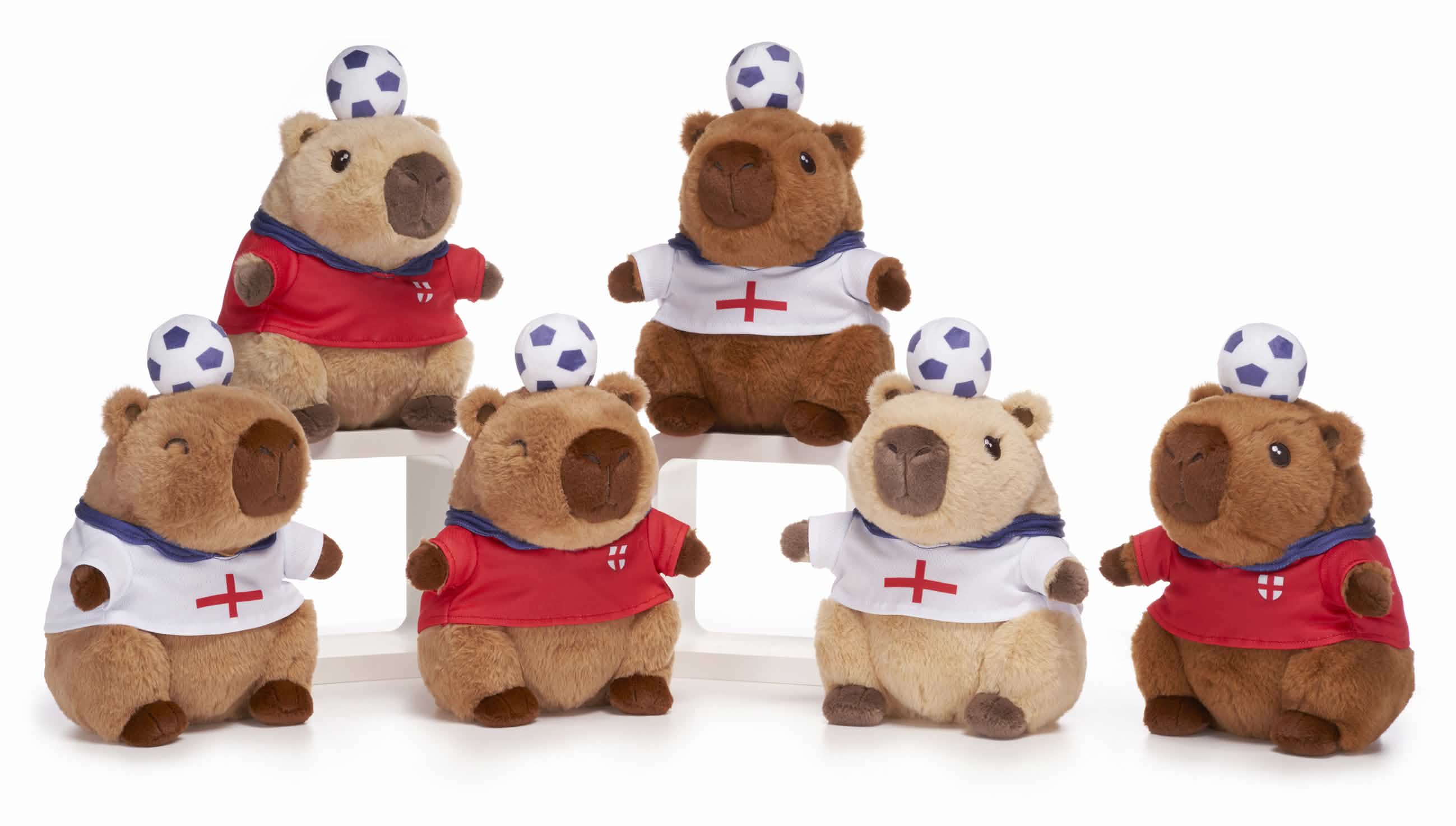 Capybara in England Shirt (2pc)