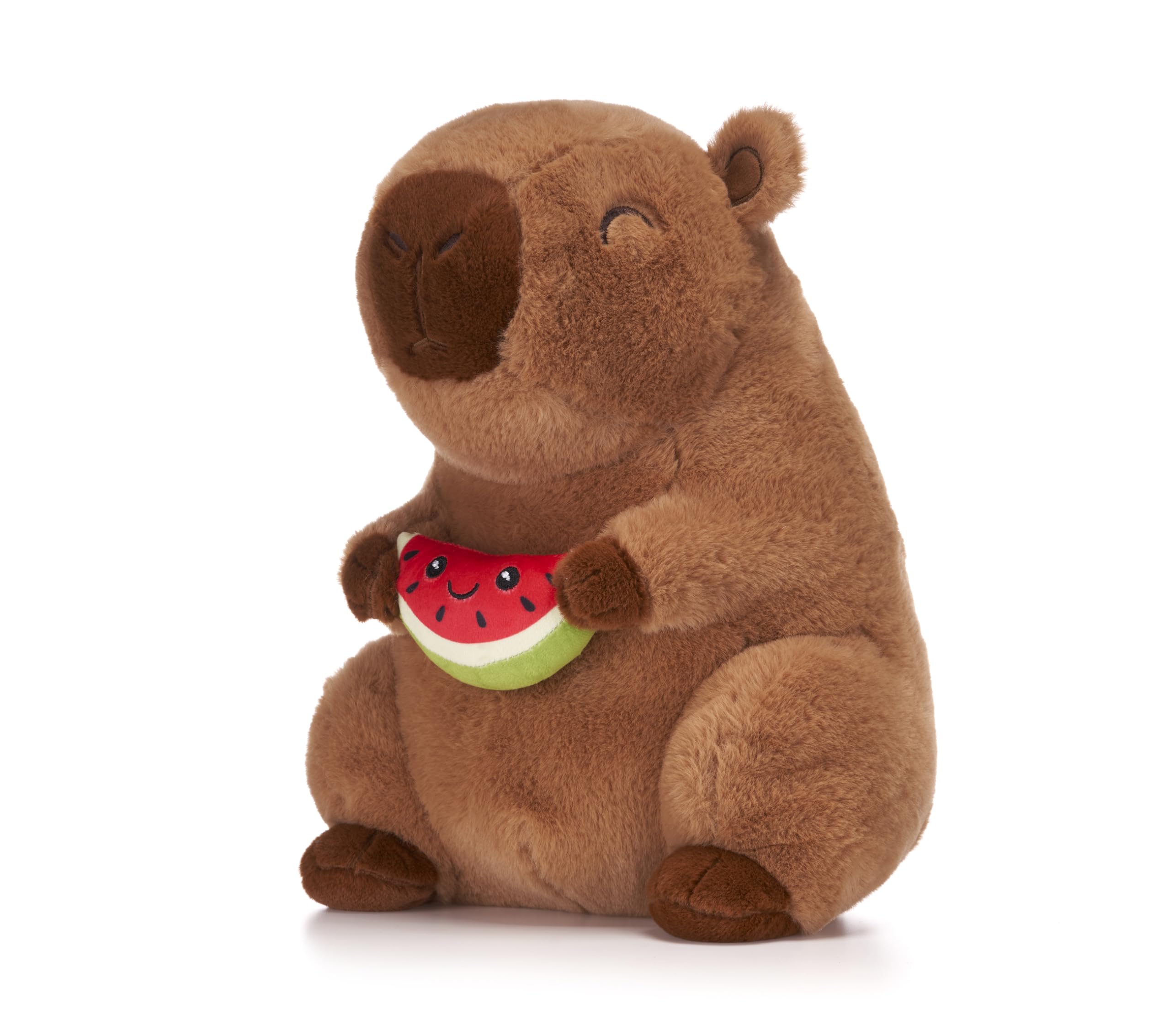 Capybara Holding Fruits 10" Soft Toy (3pc)