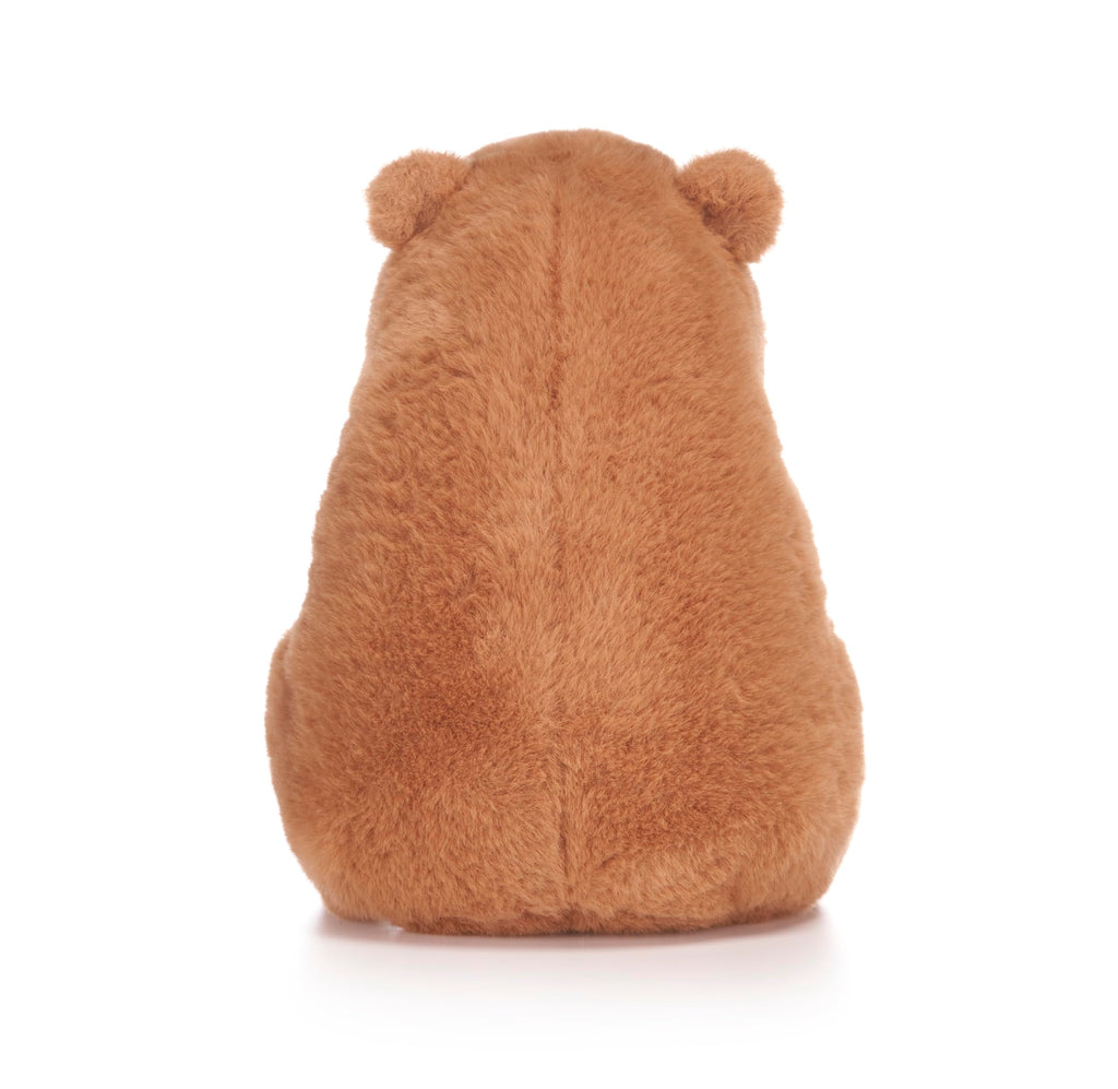 Capybara Holding Fruits 10" Soft Toy (3pc)