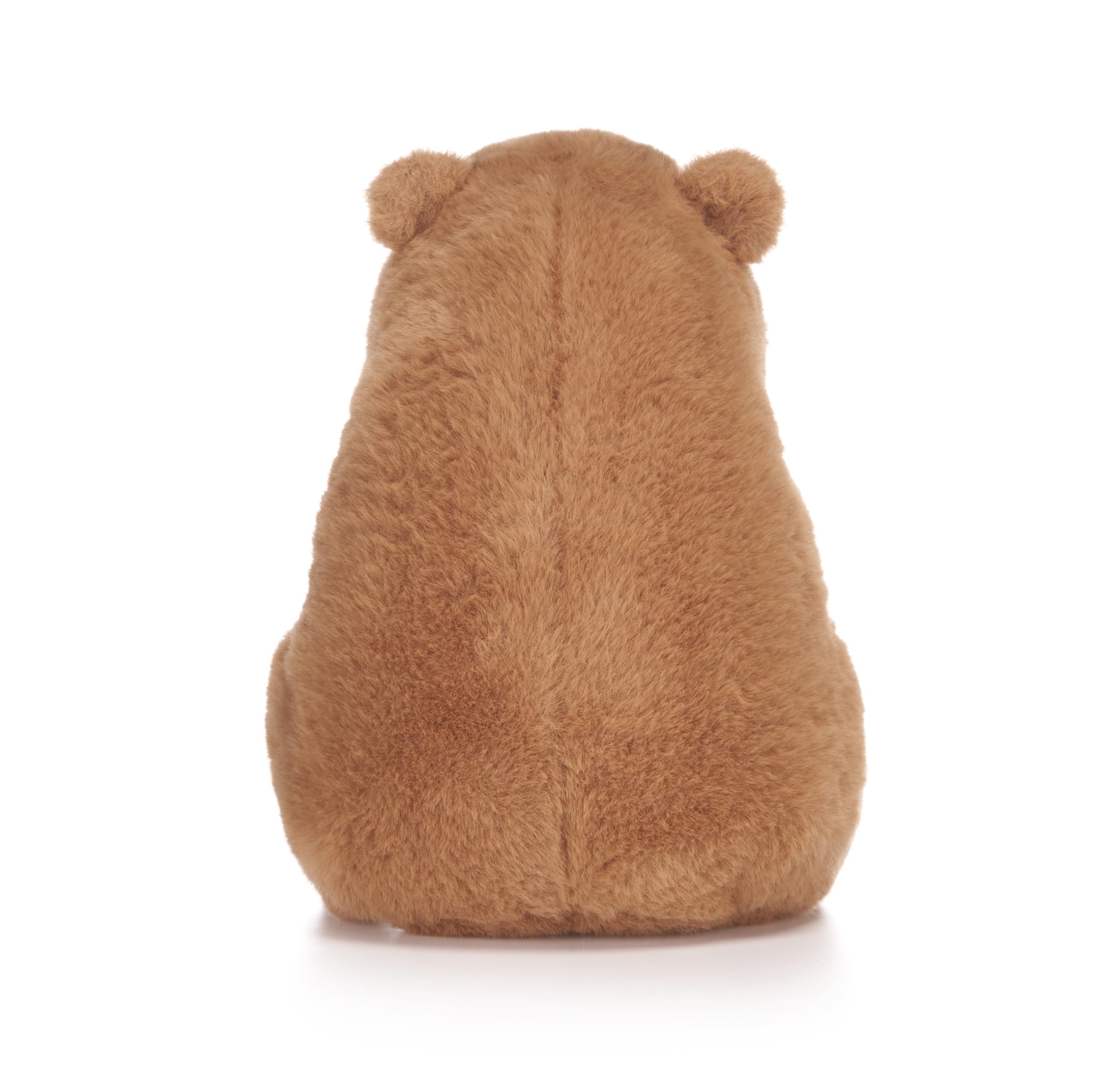 Capybara Holding Fruits 10" Soft Toy (3pc)