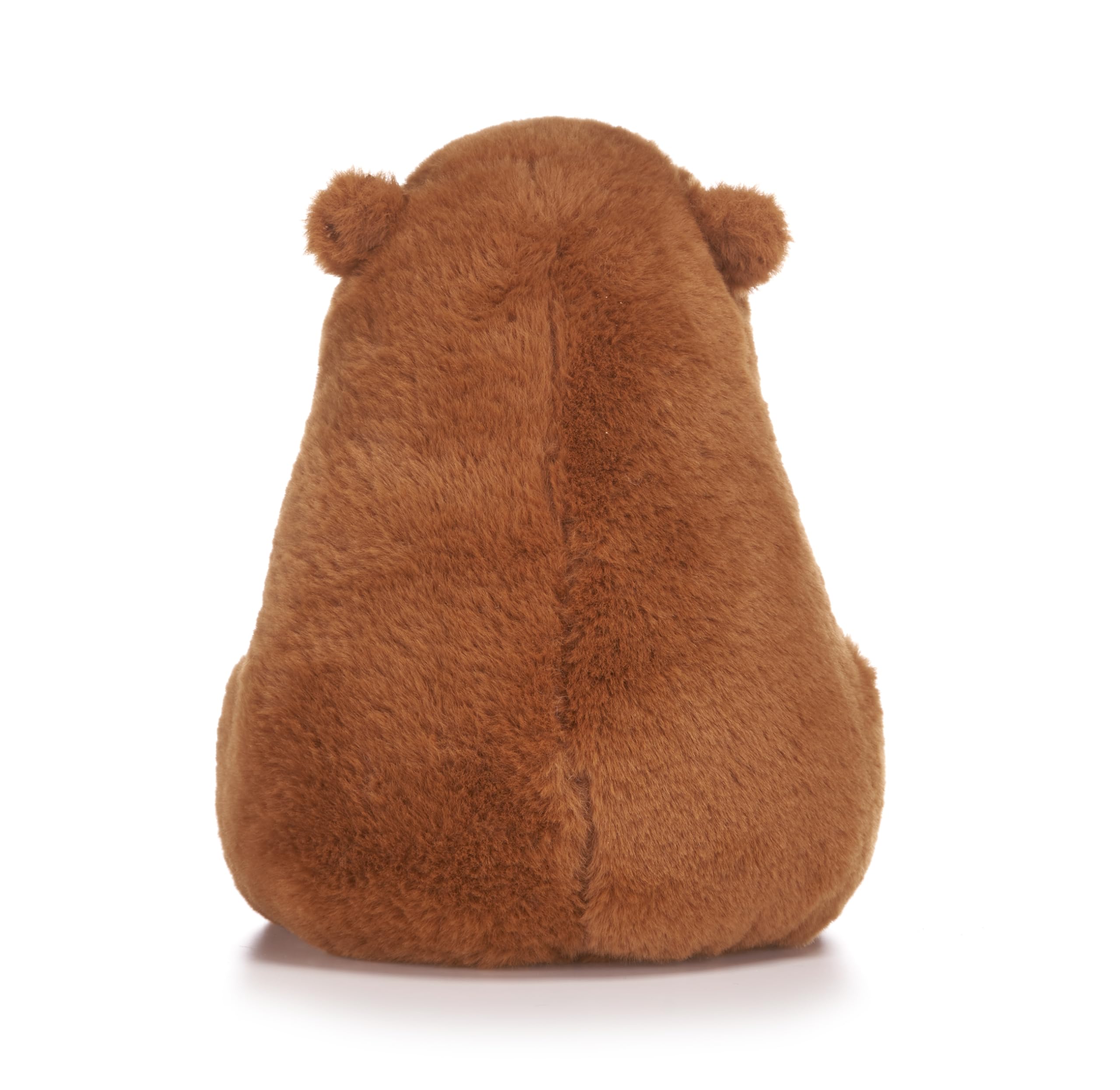 Capybara Holding Fruits 10" Soft Toy (3pc)