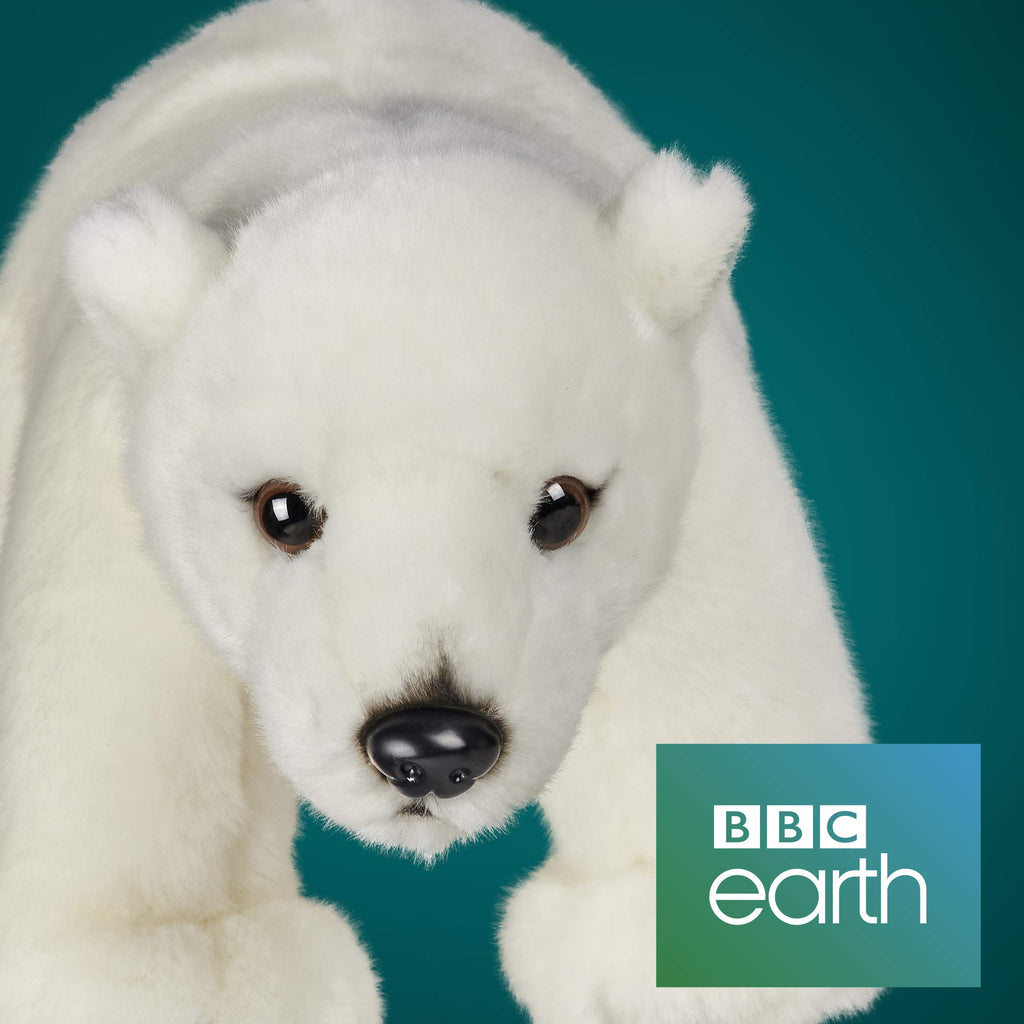 BBC Blue Planet Polar Bear 10" Soft Toy
