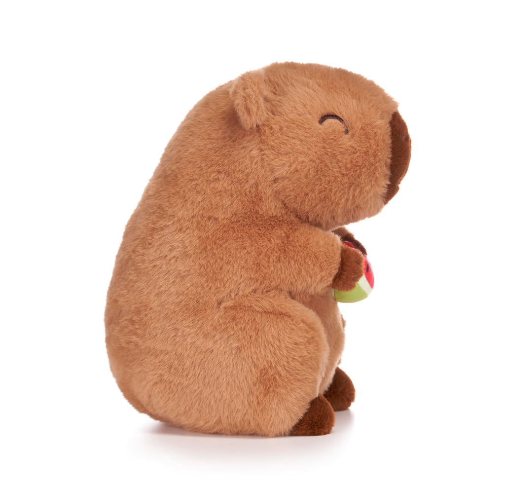 Capybara Holding Fruits 10" Soft Toy (3pc)