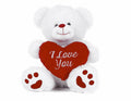 Teddy Bear Holding Heart 10" Soft Toy