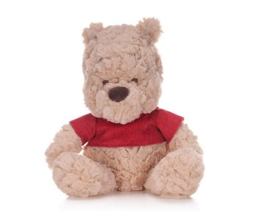 Winnie the Pooh Classic 100 years 12" (2pc)