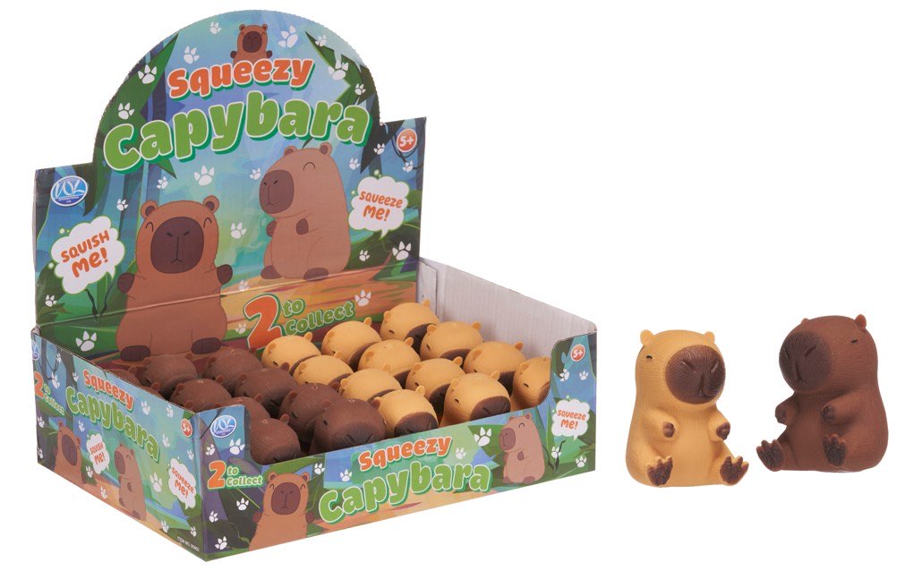 Capybara squeezy toy (24pc)