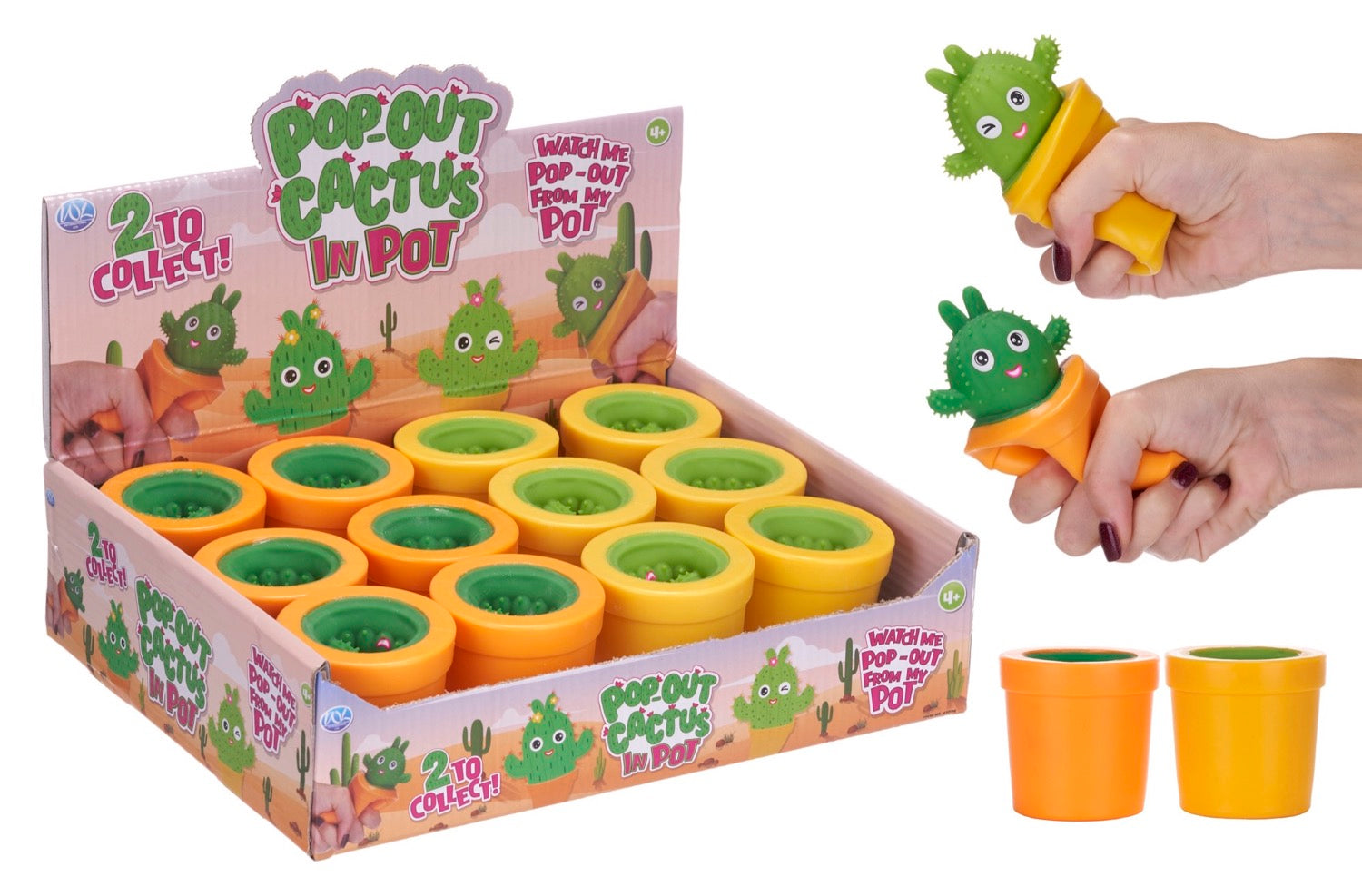 Pop-up Squeeze Cactus in Pot (12pcs)