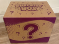 Mystery Licensed Plush Box (40pcs)